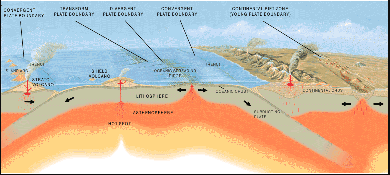 Cross sectional image of the Earth's crust. Shows volcanoes forming via an oceanic spreading ridge, a subducting tectonic plate, and a hotspot.