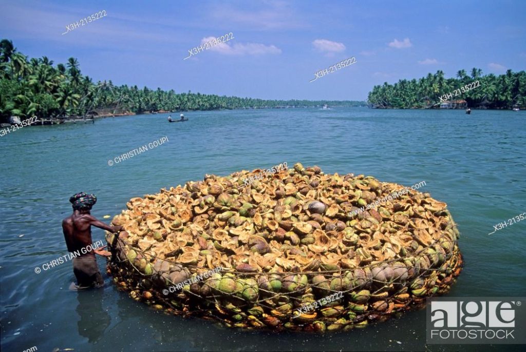 Coconut raft