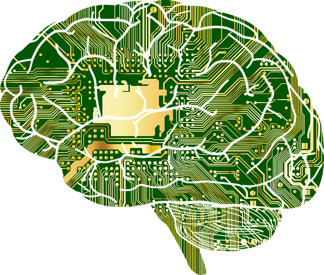 brain-shaped circuit board