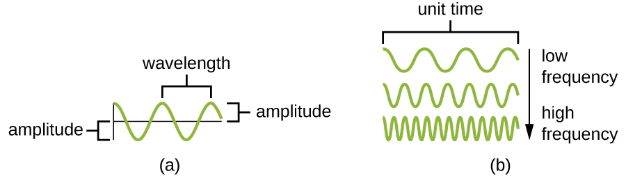diagram showing basic wave properties